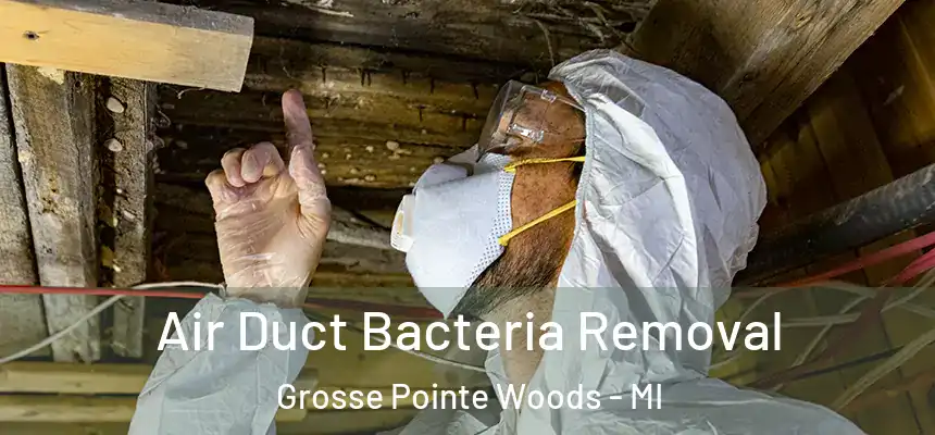  Air Duct Bacteria Removal Grosse Pointe Woods - MI