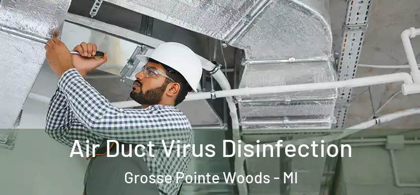  Air Duct Virus Disinfection Grosse Pointe Woods - MI