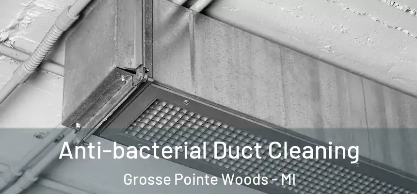  Anti-bacterial Duct Cleaning Grosse Pointe Woods - MI