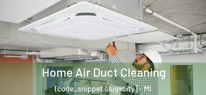  Home Air Duct Cleaning (code_snippet slug=city] - MI