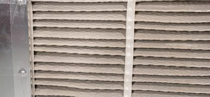 Mobile Car AC Filter Replacement in Grosse Pointe Woods