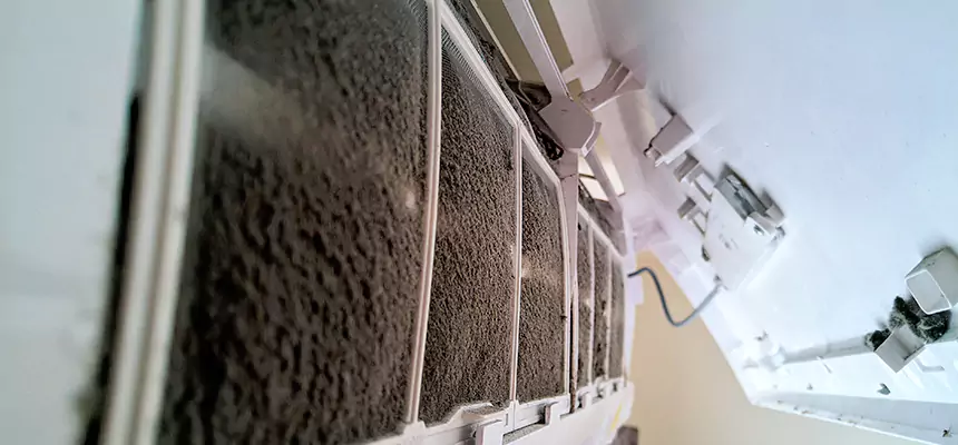 Preventive Air Duct Bacteria Removal in Grosse Pointe Woods