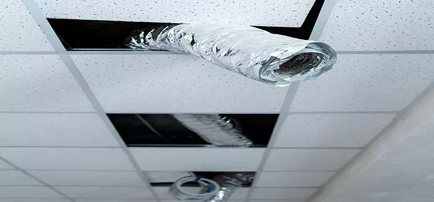 Affordable HVAC Sanitizing After Pest Removal in Grosse Pointe Woods