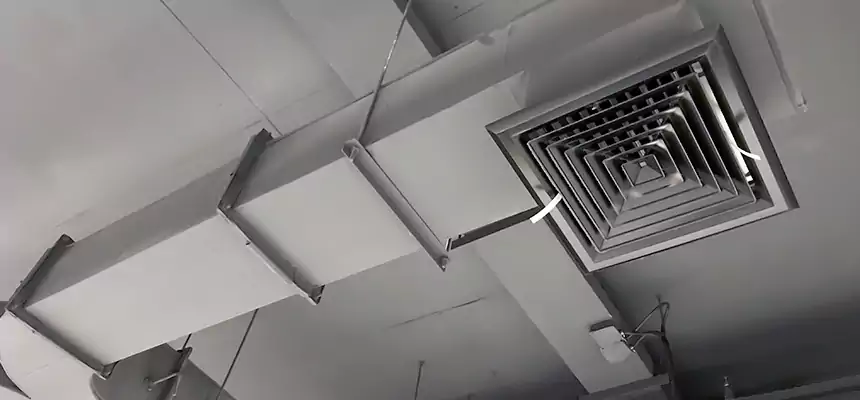 Restorative Allergy Relief Vent Cleaning – Coil, Blower & Housing Detail in Grosse Pointe Woods