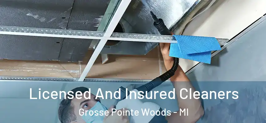  Licensed And Insured Cleaners Grosse Pointe Woods - MI