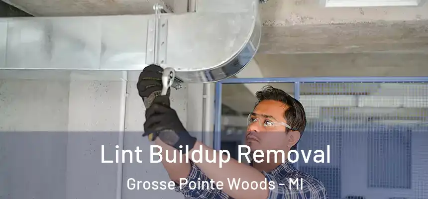  Lint Buildup Removal Grosse Pointe Woods - MI