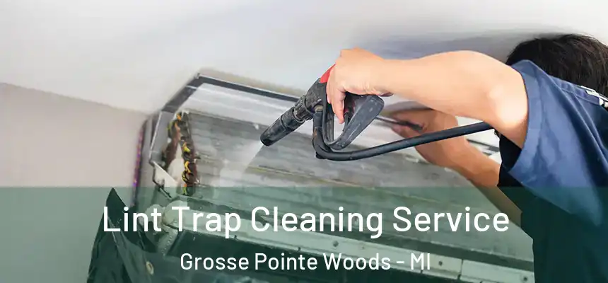  Lint Trap Cleaning Service Grosse Pointe Woods - MI