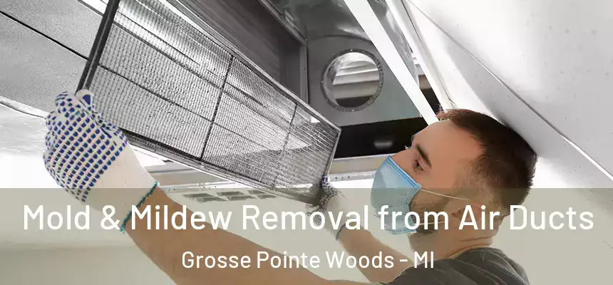  Mold & Mildew Removal from Air Ducts Grosse Pointe Woods - MI