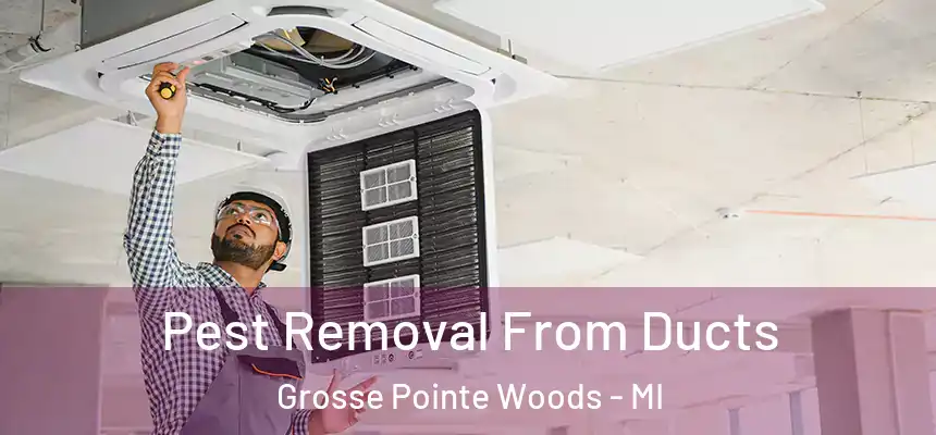  Pest Removal From Ducts Grosse Pointe Woods - MI
