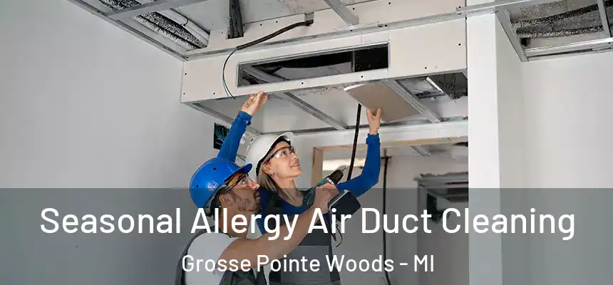  Seasonal Allergy Air Duct Cleaning Grosse Pointe Woods - MI