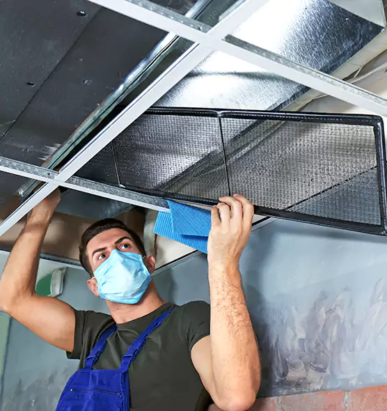 Professional Air Duct Pollen Cleaning in Grosse Pointe Woods, MI
