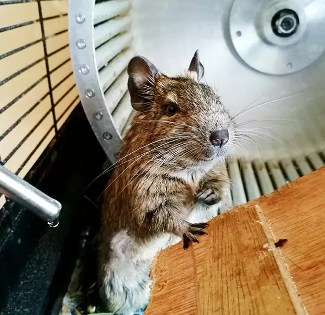 Why Homeowners & Businesses Trust Us Grosse Pointe Woods, MI