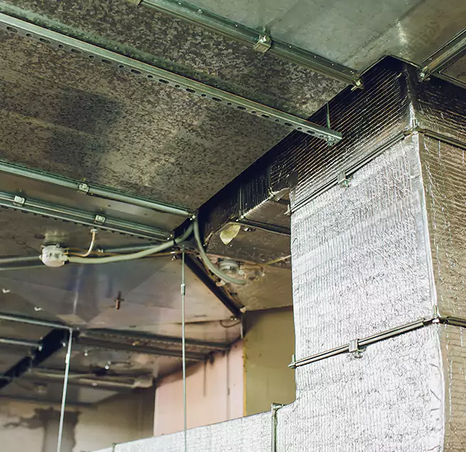 Why Homeowners & Businesses Trust Us in Grosse Pointe Woods, MI?