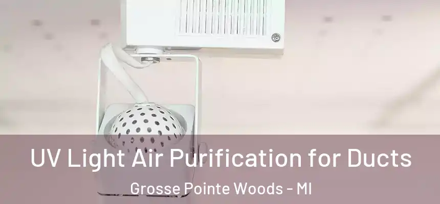  UV Light Air Purification for Ducts Grosse Pointe Woods - MI